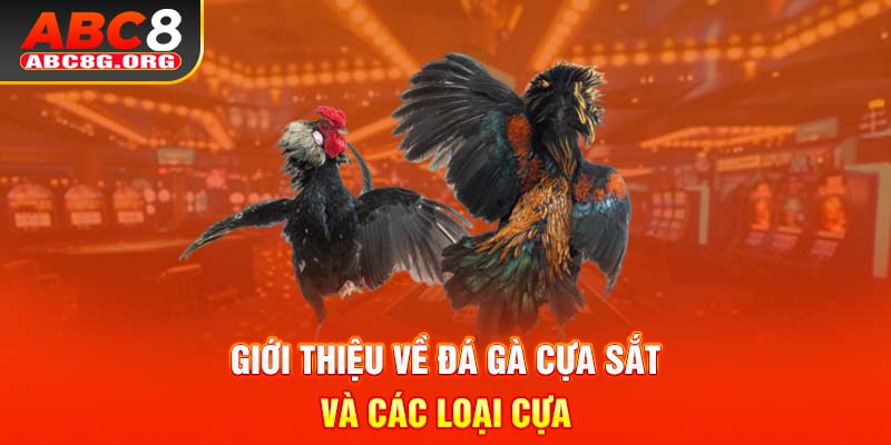 Giới thiệu về đá gà cựa sắt và các loại cựa