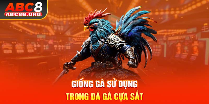 Giống gà sử dụng trong đá gà cựa sắt