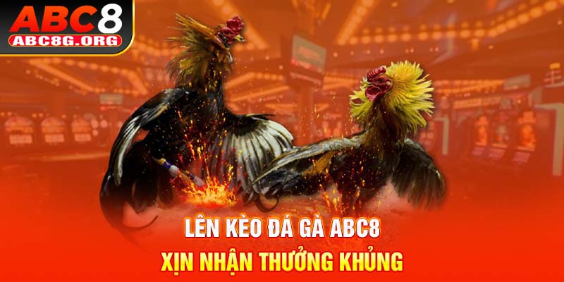 Lên kèo đá gà ABC8 xịn nhận thưởng khủng