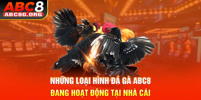 Những loại hình đá gà ABC8 đang hoạt động tại nhà cái