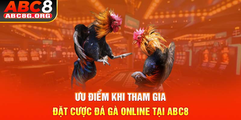 Ưu điểm khi tham gia đặt cược đá gà online tại ABC8